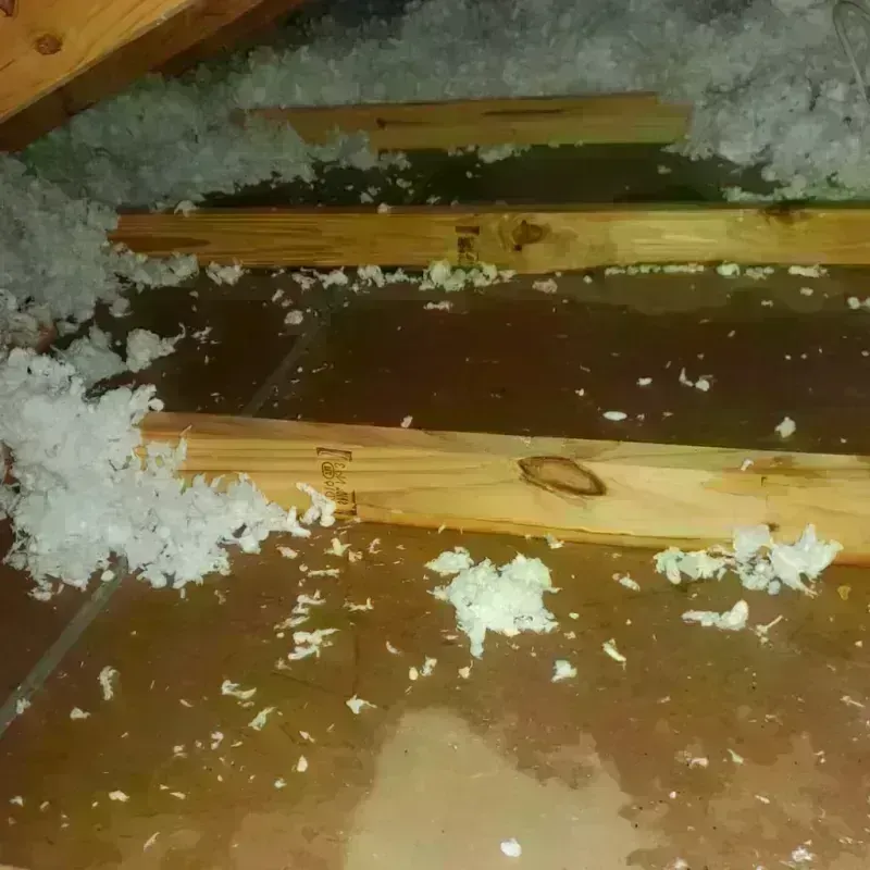 Attic Water Damage in Portland, CT